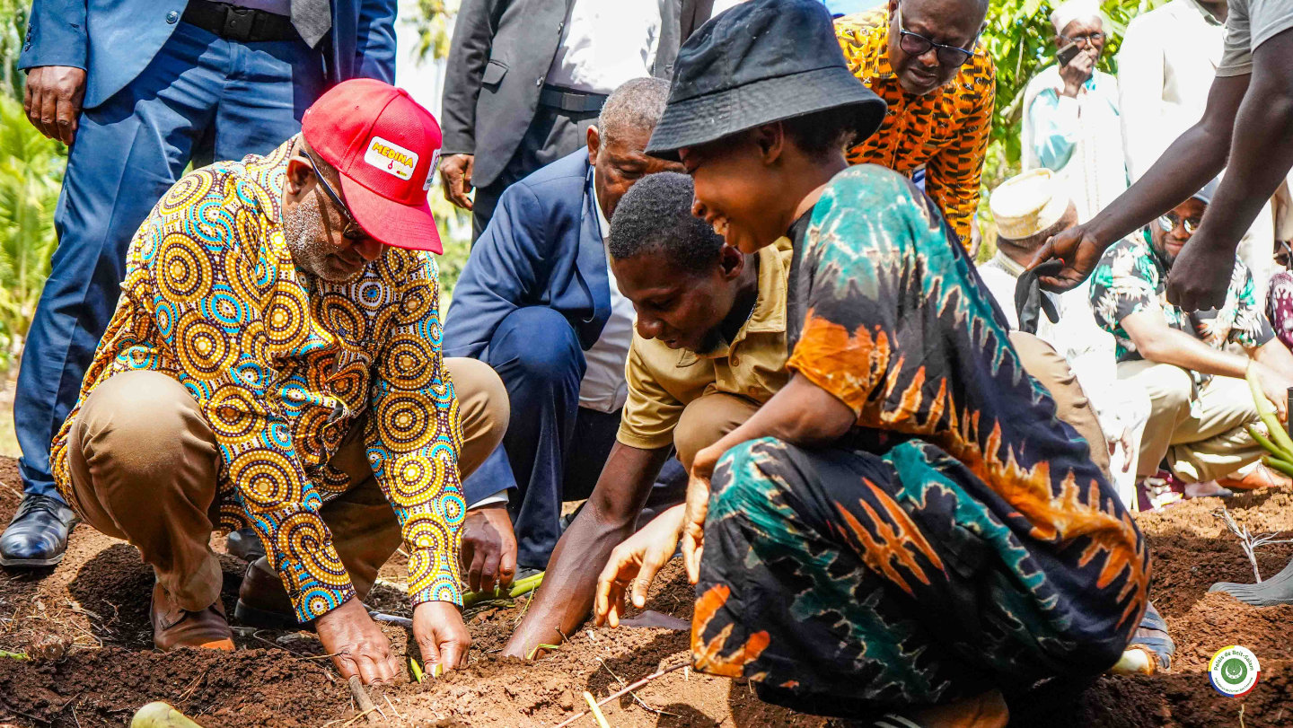 Son Excellence le Président AZALI Assoumani participe à la mise en terre de 30 000 plants de taro rouge